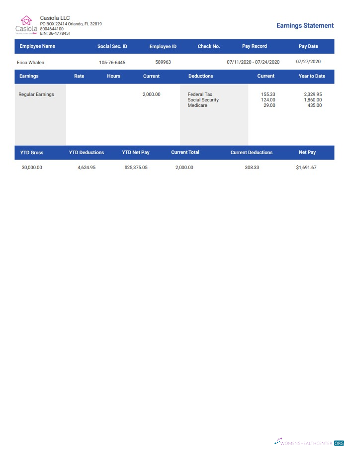 Download casiola llc earnings Employee Paystub Photoshop template